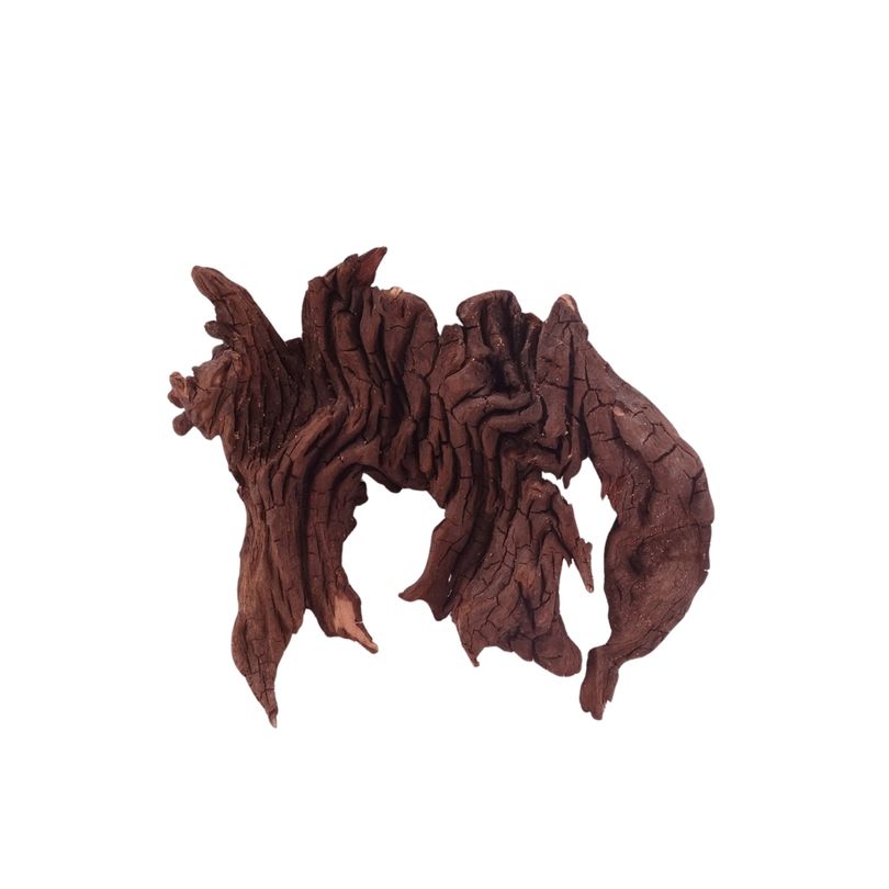 M Driftwood Flußwurzel Nr.4815 Holz Deko Aquascaping