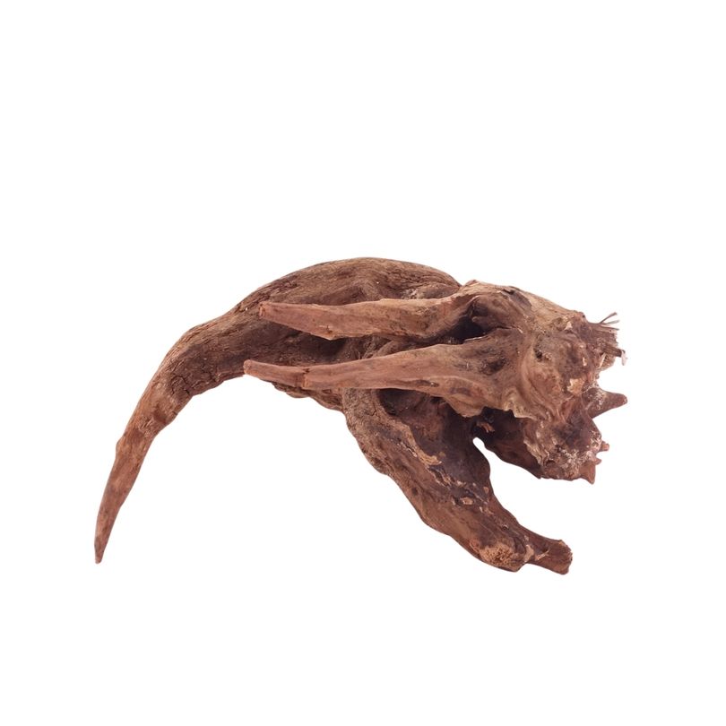 M Driftwood Flußwurzel Nr.4816 Holz Deko Aquascaping
