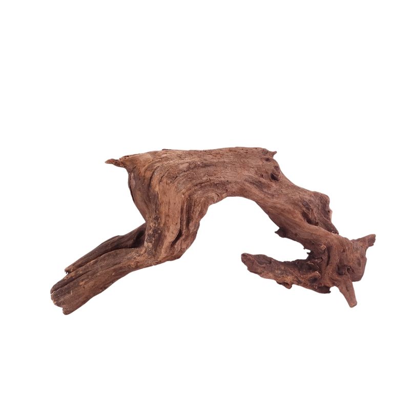 M Driftwood Flußwurzel Nr.4818 Holz Deko Aquascaping