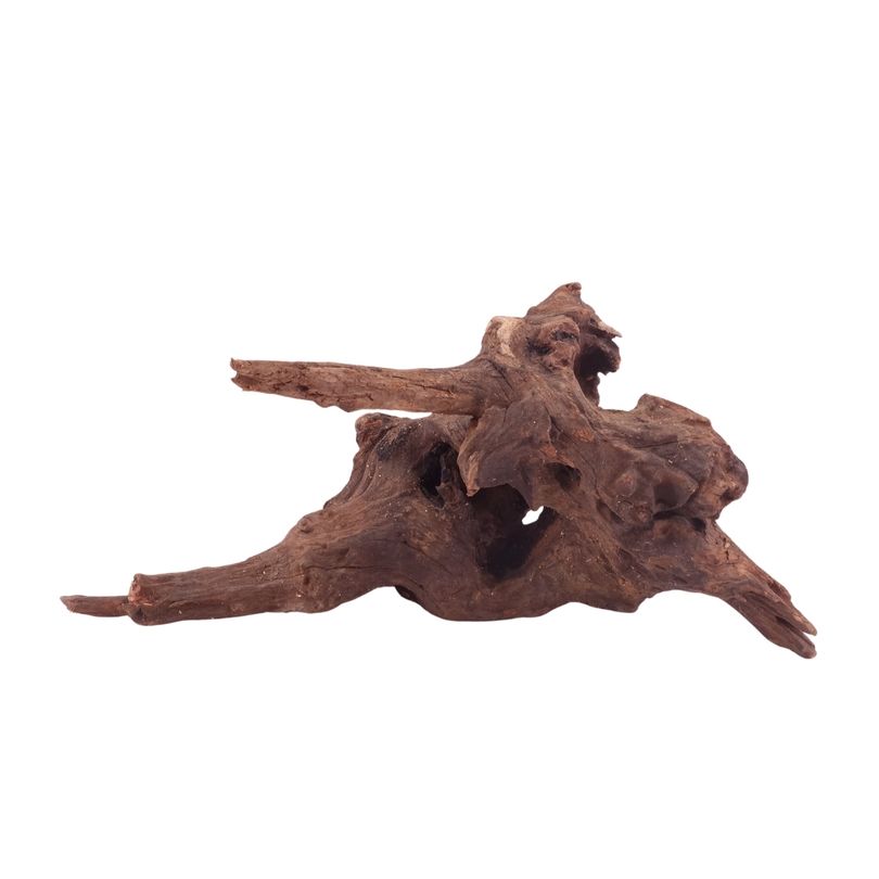 M Driftwood Flußwurzel Nr.4821 Holz Deko Aquascaping