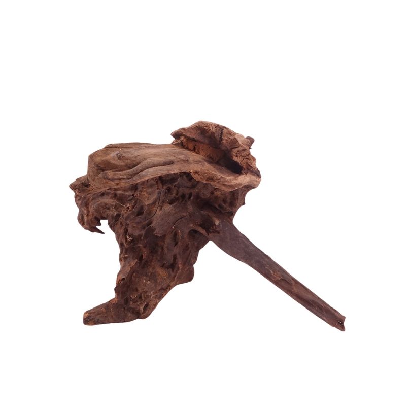 M Driftwood Flußwurzel Nr.4823 Holz Deko Aquascaping
