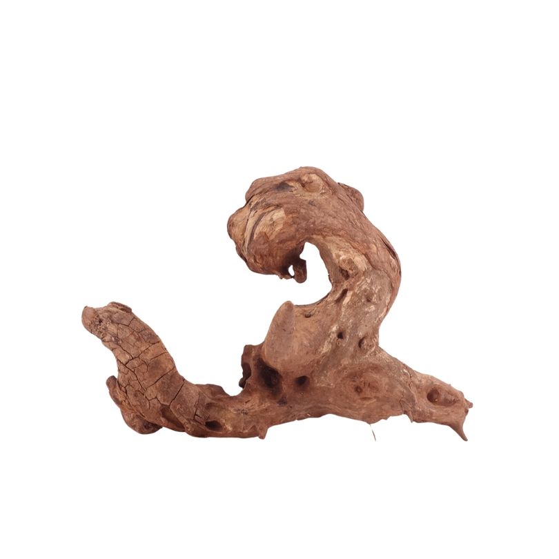 M Driftwood Flußwurzel Nr.4825 Holz Deko Aquascaping
