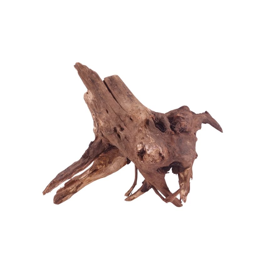 M Driftwood Flußwurzel Nr.4829 Holz Deko Aquascaping