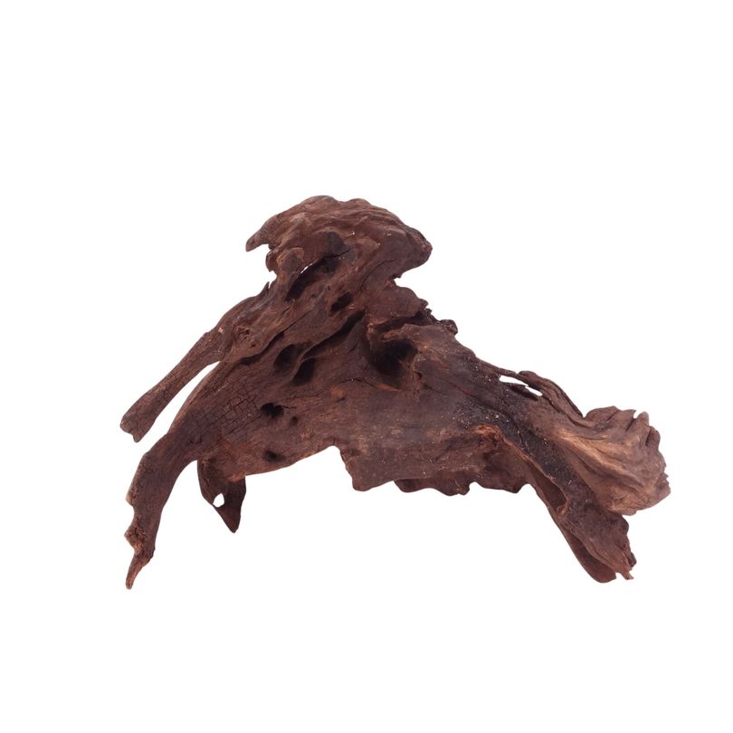 M Driftwood Flußwurzel Nr.4831 Holz Deko Aquascaping