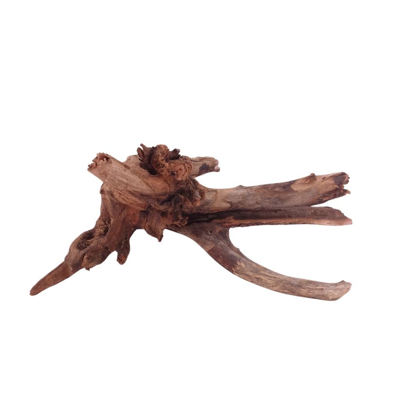 M Driftwood Flußwurzel Nr.4834 Holz Deko Aquascaping