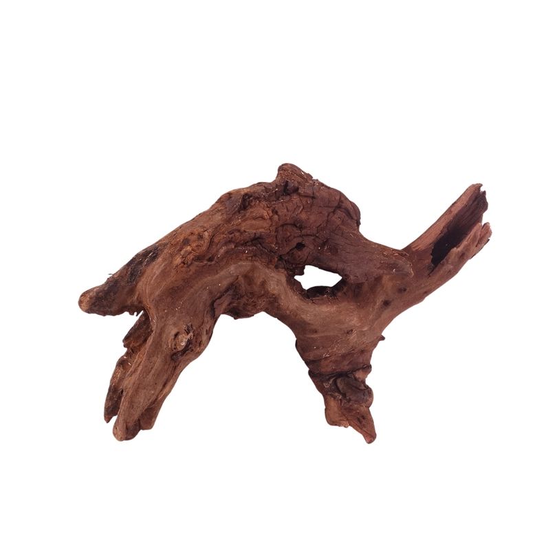 M Driftwood Flußwurzel Nr.4840 Holz Deko Aquascaping