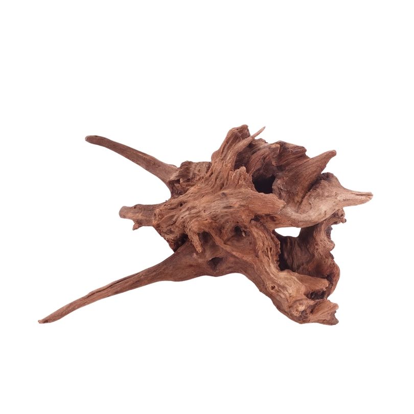 M Driftwood Flußwurzel Nr.4841 Holz Deko Aquascaping