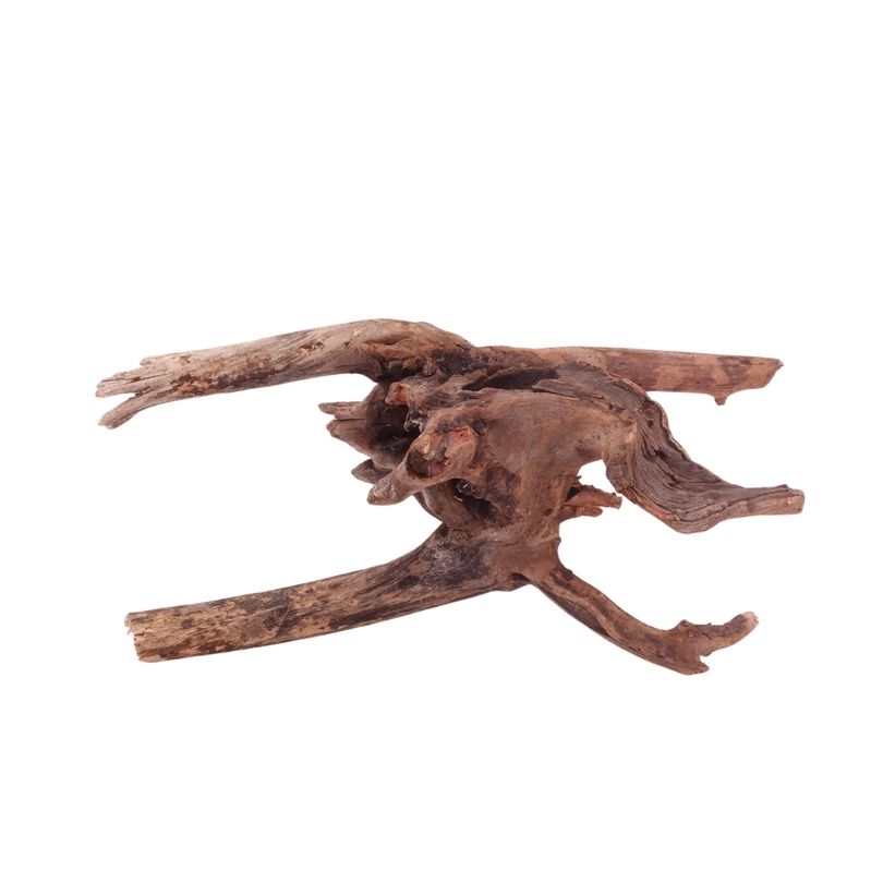 M Driftwood Flußwurzel Nr.4842 Holz Deko Aquascaping