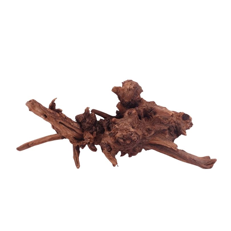 M Driftwood Flußwurzel Nr.4843 Holz Deko Aquascaping