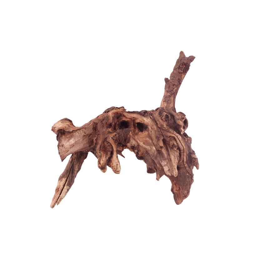 M Driftwood Flußwurzel Nr.4844 Holz Deko Aquascaping