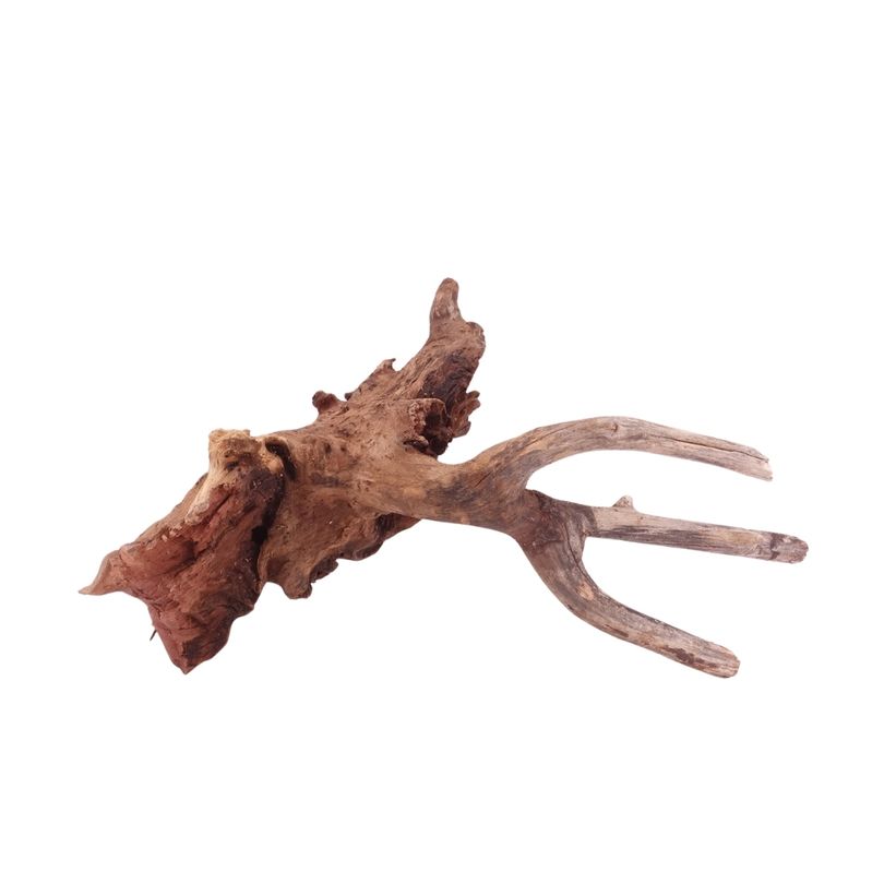 M Driftwood Flußwurzel Nr.4846 Holz Deko Aquascaping