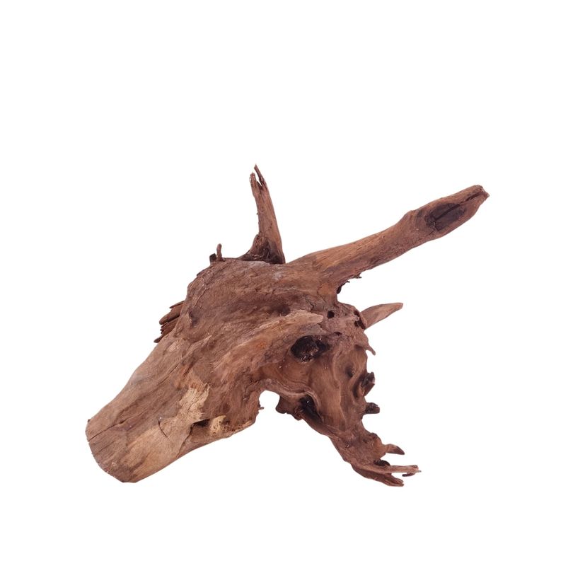 M Driftwood Flußwurzel Nr.4847 Holz Deko Aquascaping