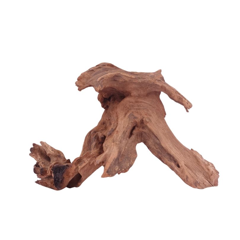 M Driftwood Flußwurzel Nr.4849 Holz Deko Aquascaping