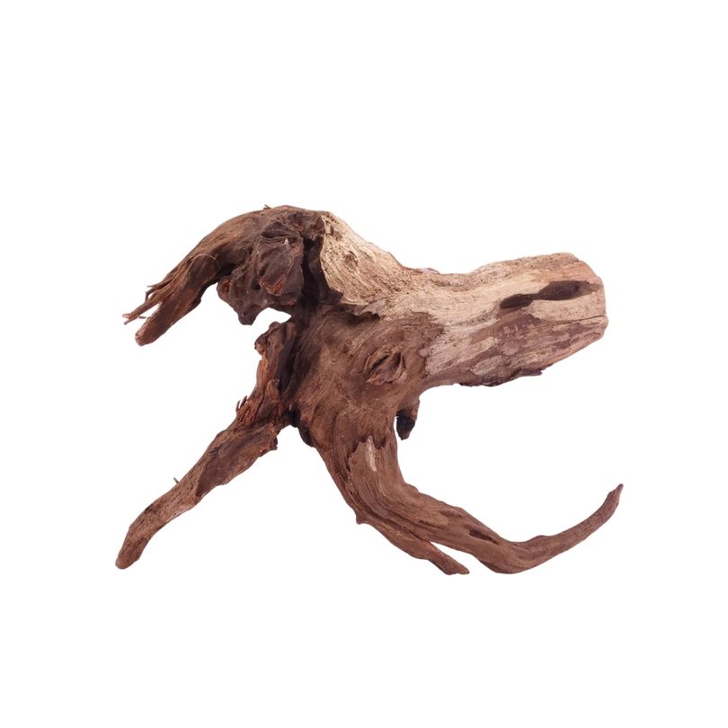 M Driftwood Flußwurzel Nr.4852 Holz Deko Aquascaping