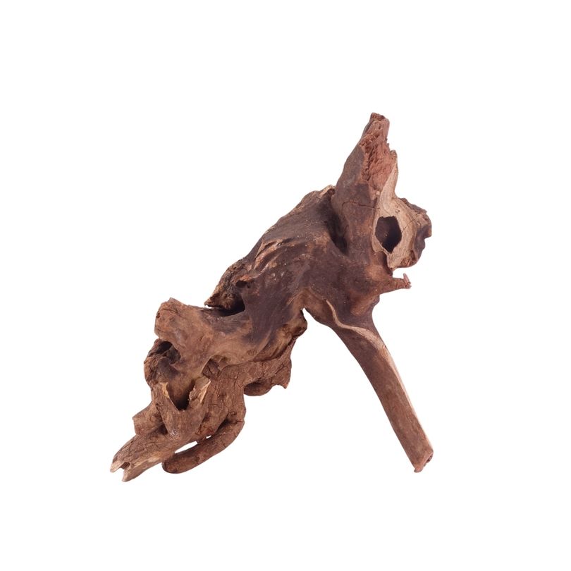 M Driftwood Flußwurzel Nr.4853 Holz Deko Aquascaping