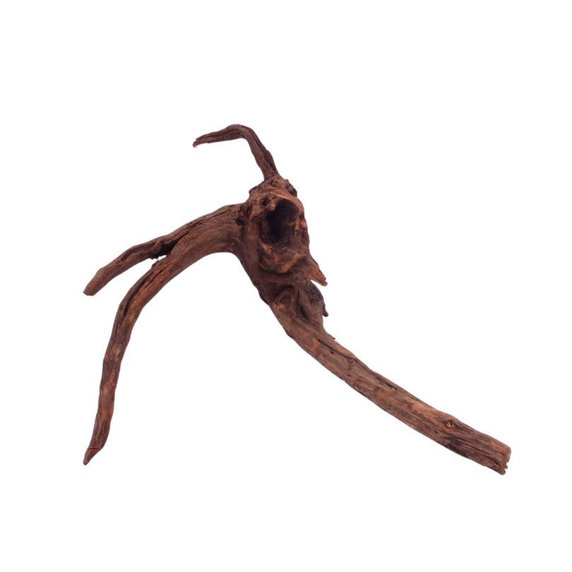  L Driftwood Flußwurzel Nr.4858 Holz Deko Aquascaping