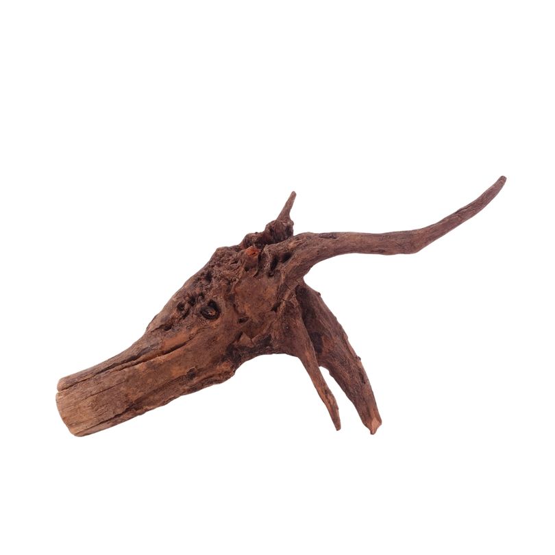 L Driftwood Flußwurzel Nr.4862 Holz Deko Aquascaping
