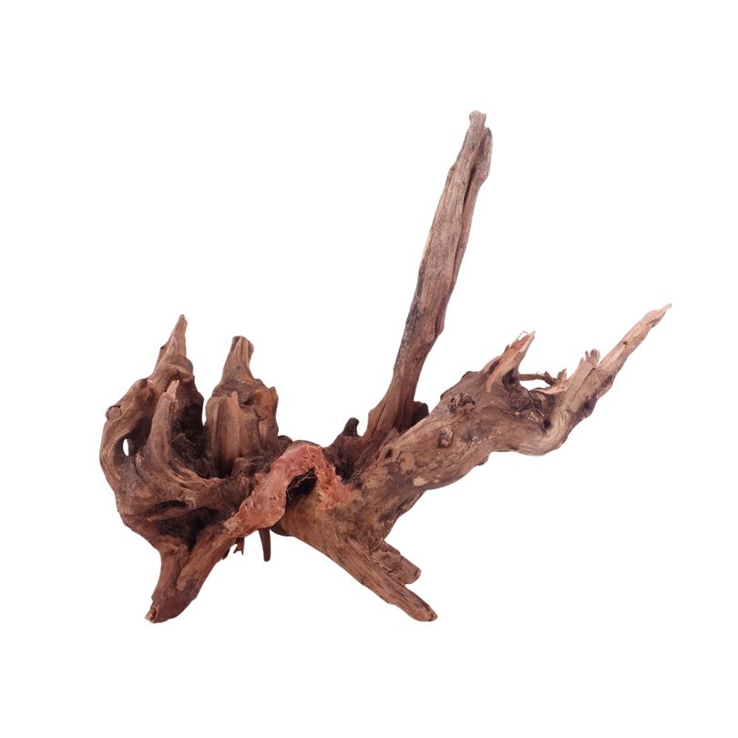  L Driftwood Flußwurzel Nr.4868 Holz Deko Aquascaping
