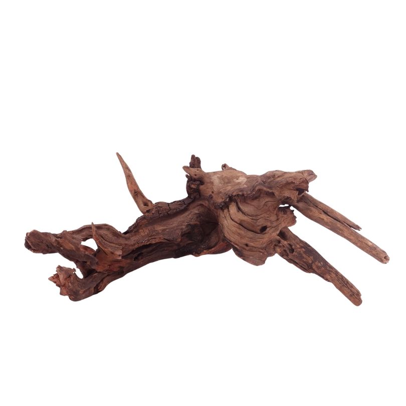 L Driftwood Flußwurzel Nr.4878 Holz Deko Aquascaping