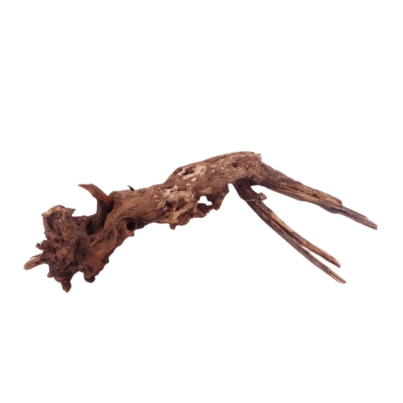  L Driftwood Flußwurzel Nr.4880 Holz Deko Aquascaping