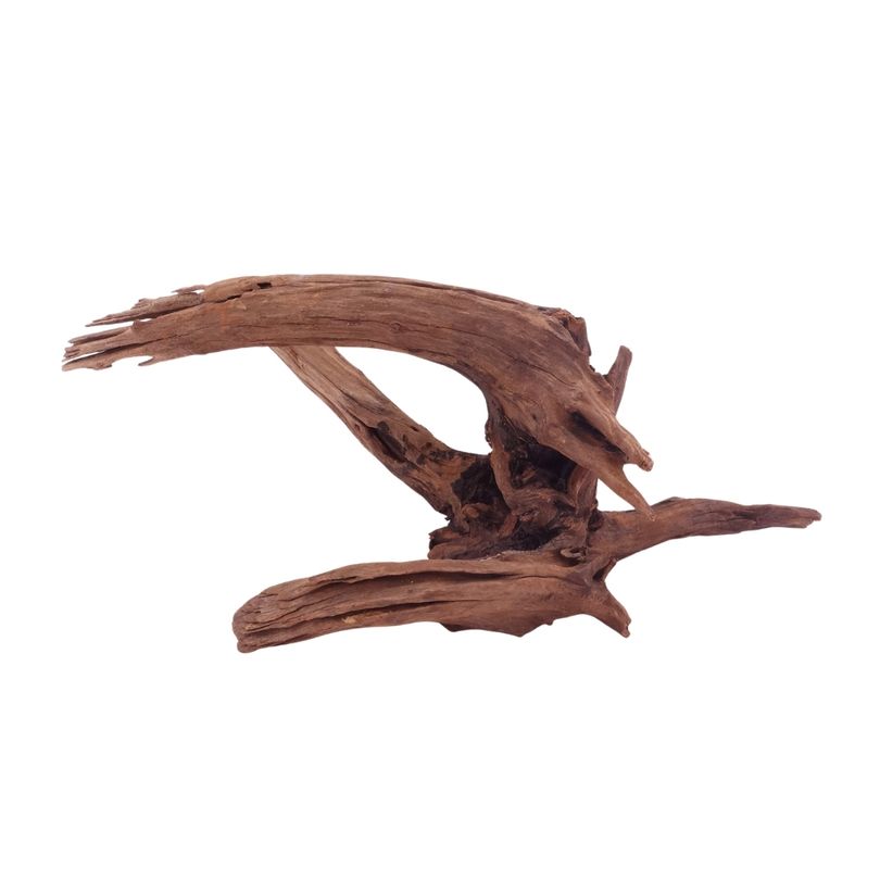  L Driftwood Flußwurzel Nr.4881 Holz Deko Aquascaping