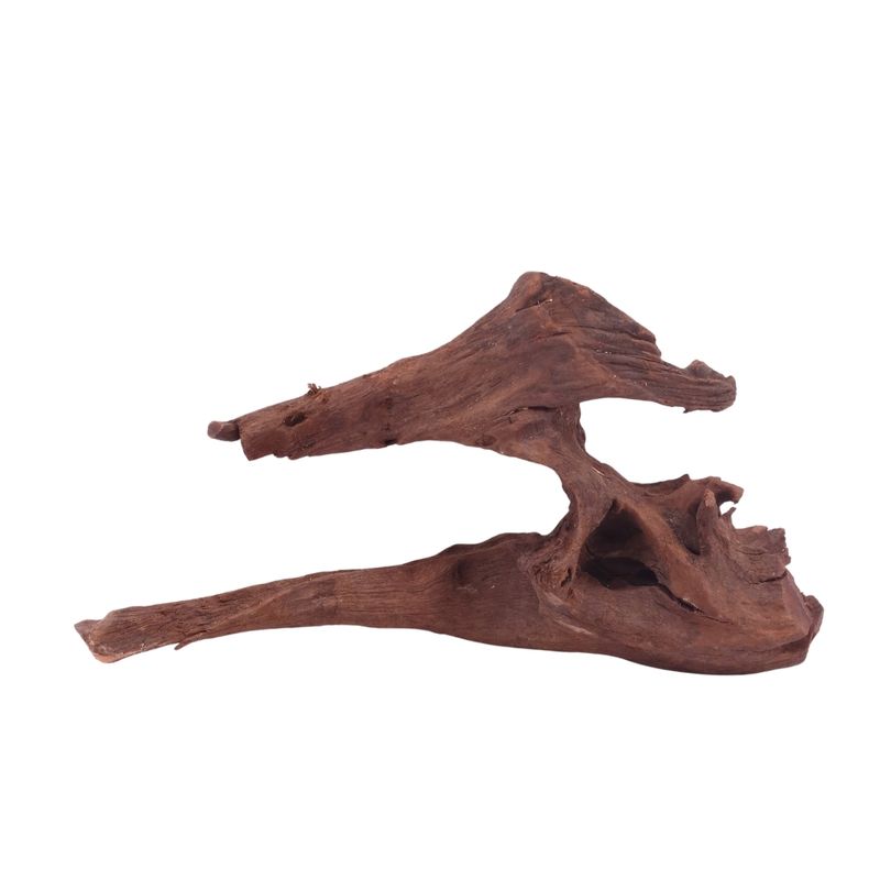  L Driftwood Flußwurzel Nr.4890 Holz Deko Aquascaping