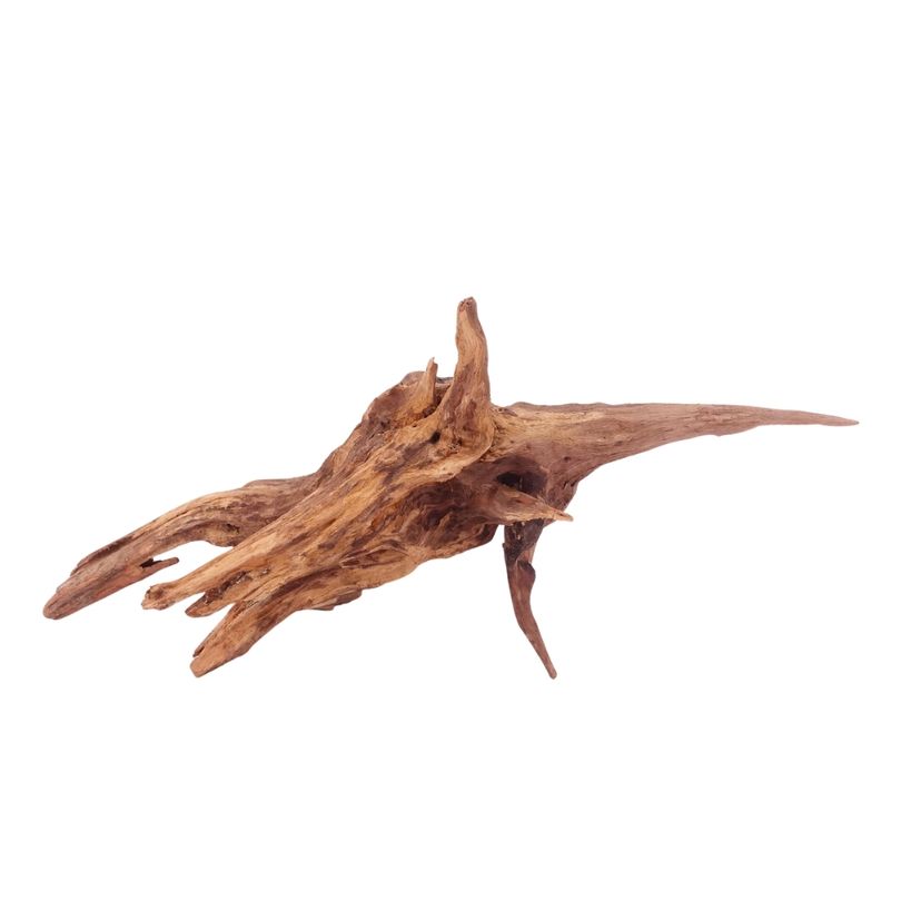  L Driftwood Flußwurzel Nr.4897 Holz Deko Aquascaping