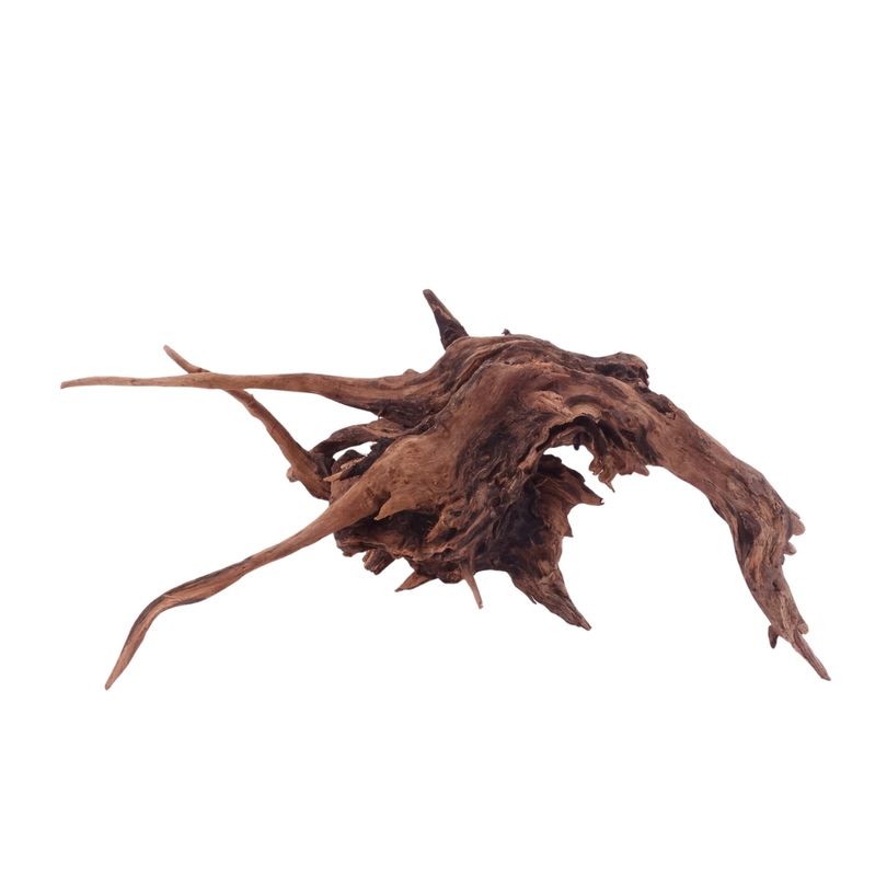  L Driftwood Flußwurzel Nr.4901 Holz Deko Aquascaping