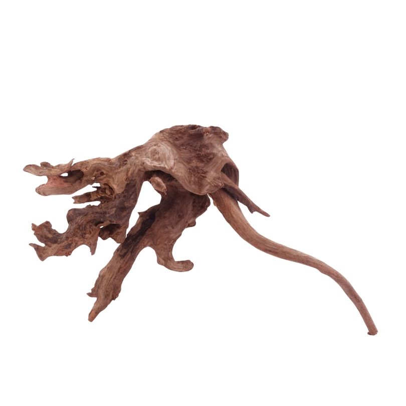  L Driftwood Flußwurzel Nr.4903 Holz Deko Aquascaping