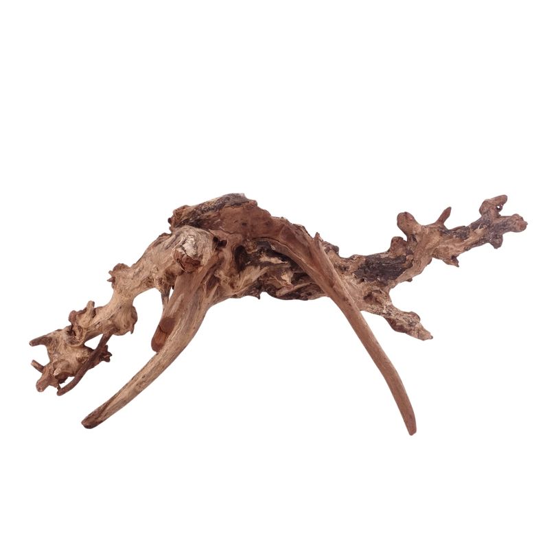 XL Driftwood Flußwurzel Nr.4904 Holz Deko Aquascaping