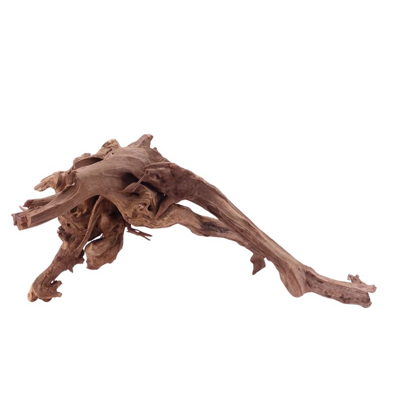 XL Driftwood Flußwurzel Nr.4905 Holz Deko Aquascaping