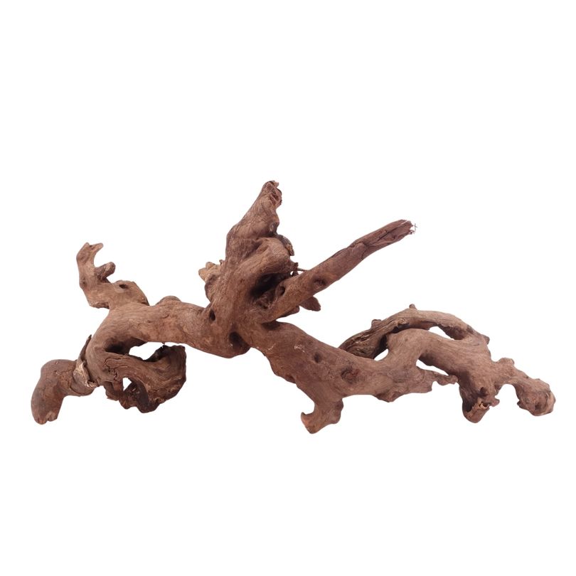 XL Driftwood Flußwurzel Nr.4906 Holz Deko Aquascaping