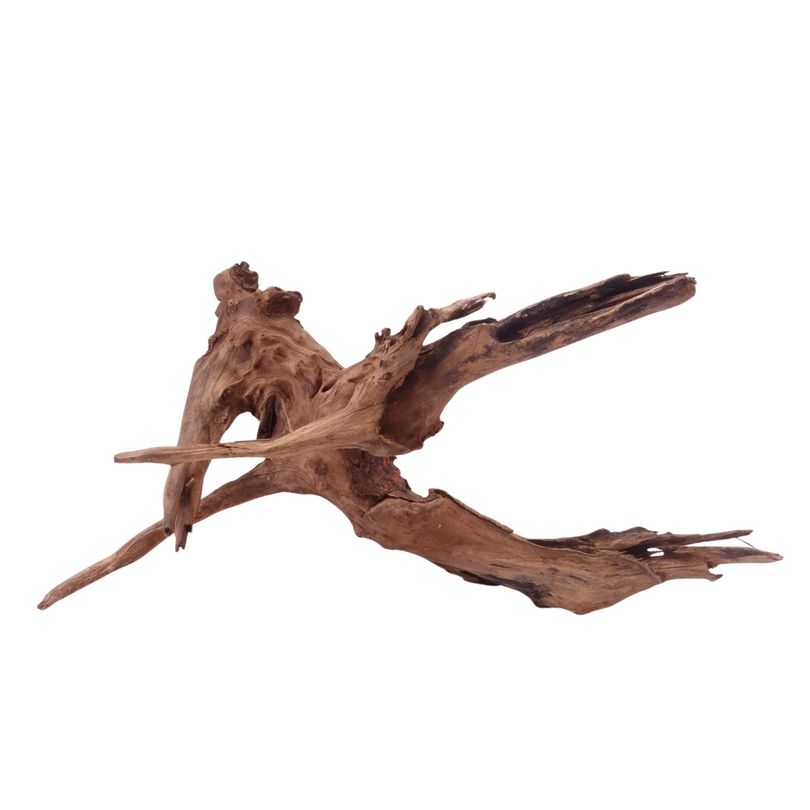 XL Driftwood Flußwurzel Nr.4907 Holz Deko Aquascaping