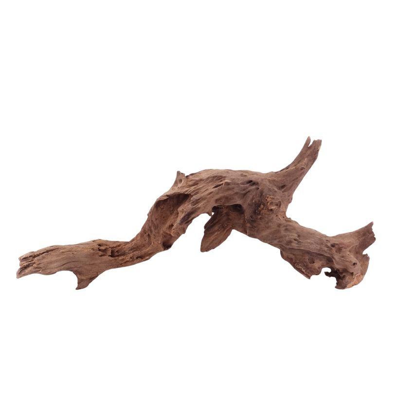 XL Driftwood Flußwurzel Nr.4916 Holz Deko Aquascaping
