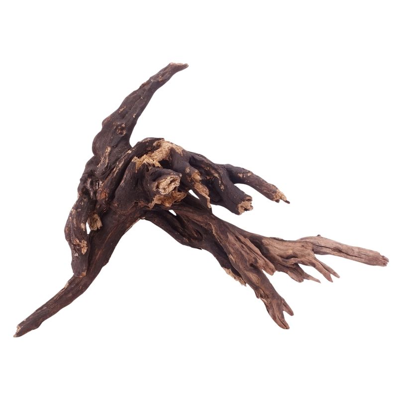 XL Driftwood Flußwurzel Nr.4918 Holz Deko Aquascaping