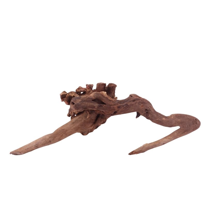 XL Driftwood Flußwurzel Nr.4923 Holz Deko Aquascaping