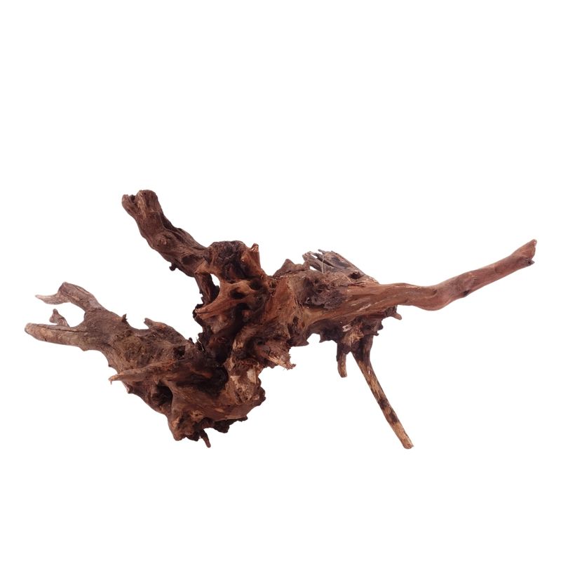 XL Driftwood Flußwurzel Nr.4929 Holz Deko Aquascaping