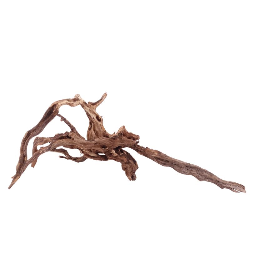 XL Driftwood Flußwurzel Nr.4931 Holz Deko Aquascaping
