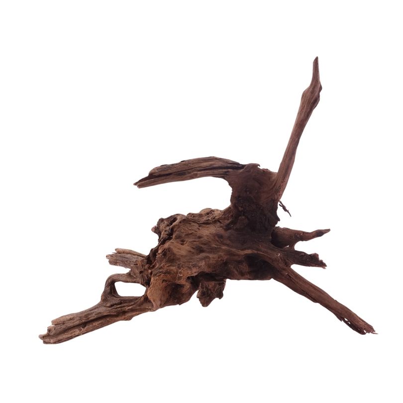 XL Driftwood Flußwurzel Nr.4938 Holz Deko Aquascaping