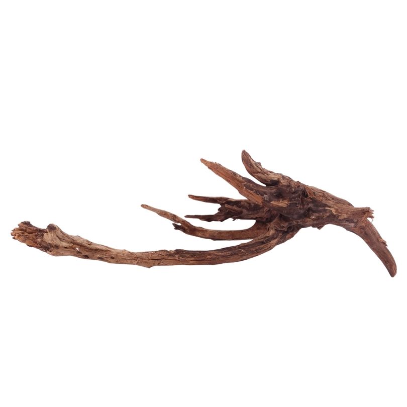 XL Driftwood Flußwurzel Nr.4941 Holz Deko Aquascaping