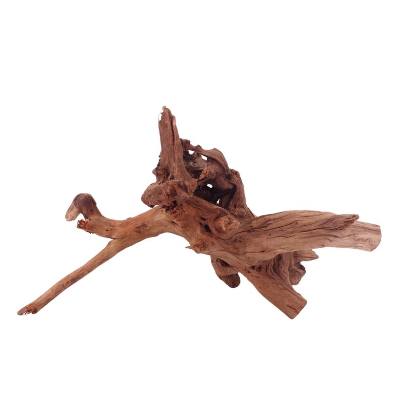 XL Driftwood Flußwurzel Nr.4944 Holz Deko Aquascaping
