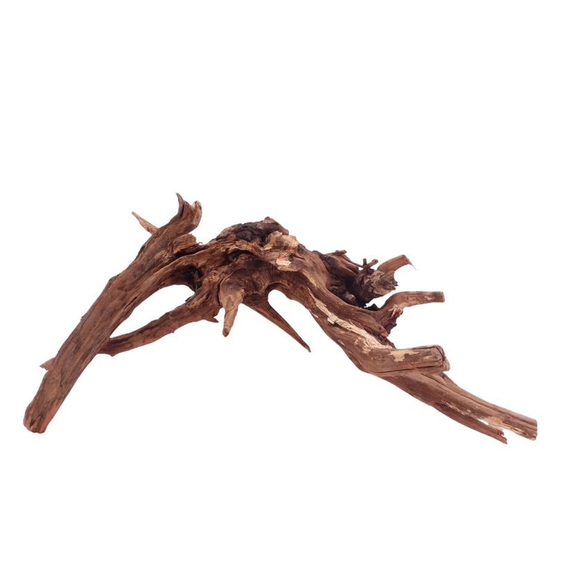 XL Driftwood Flußwurzel Nr.4949 Holz Deko Aquascaping