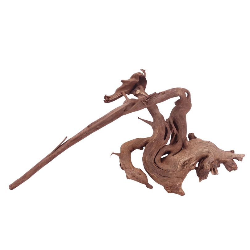 XL Driftwood Flußwurzel Nr.4951 Holz Deko Aquascaping