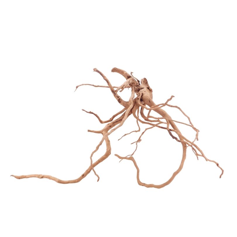 XL Moorkienwurzel Nr.5079 Fingerwurzel Echtholz Deko Aquascaping