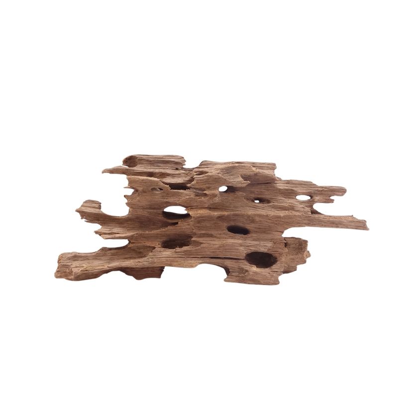 M Honey Comb Wurzel Nr.5179 Holz Deko Aquascaping