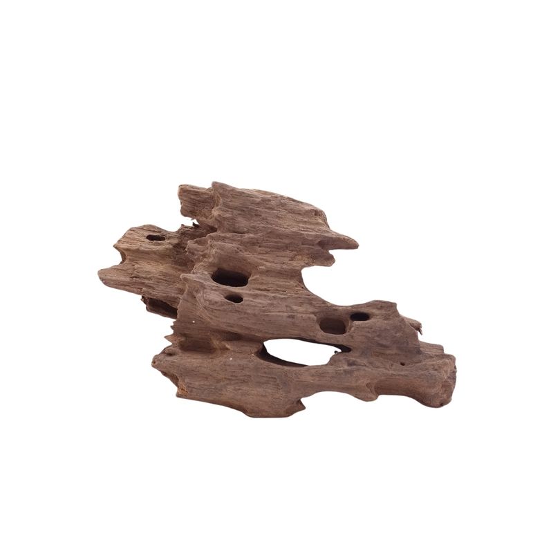 M Honey Comb Wurzel Nr.5182 Holz Deko Aquascaping