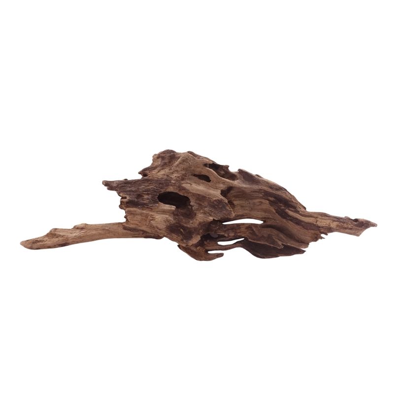 M Honey Comb Wurzel Nr.5184 Holz Deko Aquascaping