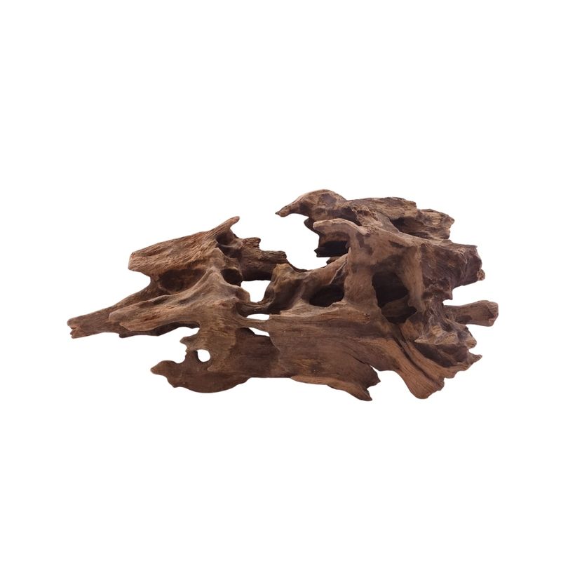 M Honey Comb Wurzel Nr.5187 Holz Deko Aquascaping