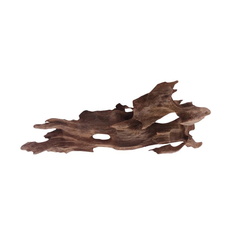 M Honey Comb Wurzel Nr.5188 Holz Deko Aquascaping