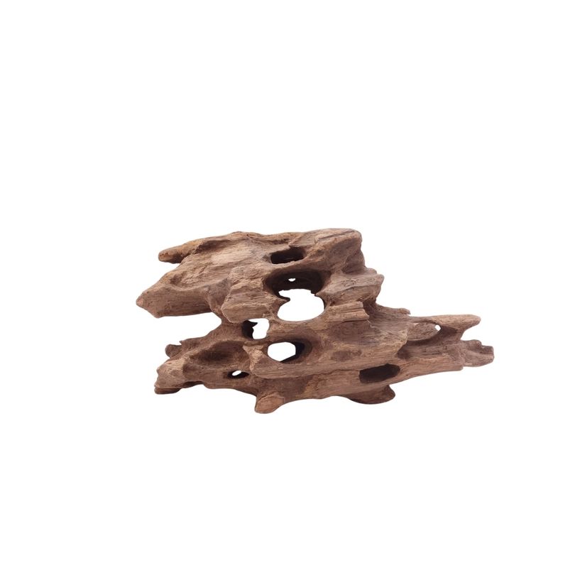 M Honey Comb Wurzel Nr.5189 Holz Deko Aquascaping